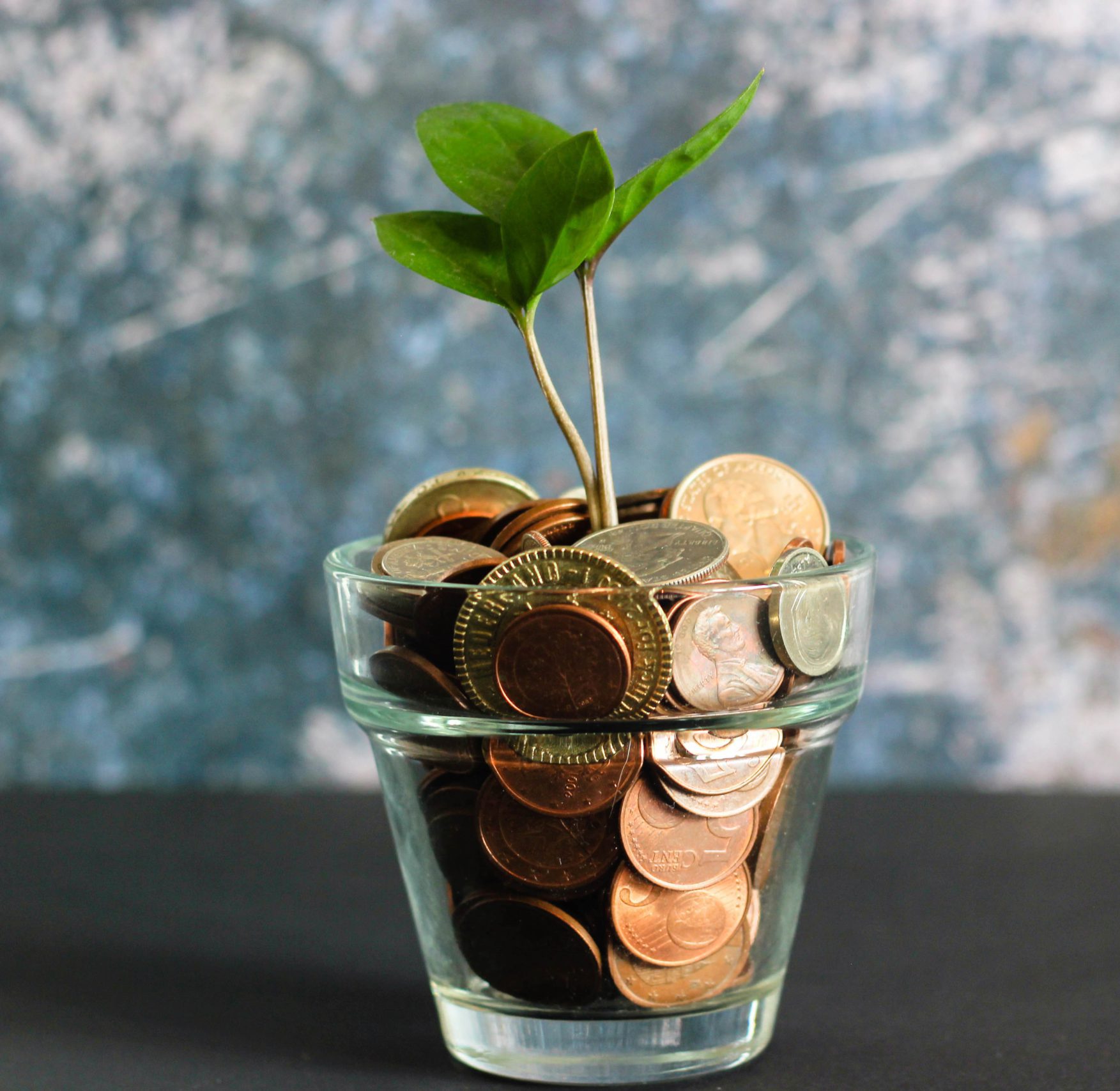 Coins-in-jar-with-plant-scaled-e1612889349507